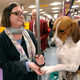 Illustration for article titled More Puppy Love From the Westminster Dog Show